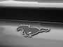 Ford Mustang Mach-E (Verwacht) AWD 75 kWh Aut. | Leder | B&O Soundsystem | Panoramadak | Elek. stoelen + memory | Winterpack | Apple carplay