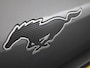 Ford Mustang Mach-E (Verwacht) AWD 75 kWh Aut. | Leder | B&O Soundsystem | Panoramadak | Elek. stoelen + memory | Winterpack | Apple carplay