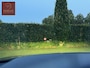 Audi A6 Avant 55 TFSI quattro S - B&O | Pano | Luchtv | Matrix | HUD | 360 | Trekh