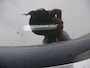 Volkswagen Golf Variant 2.0 TDi 85kW LIFE CLIMA NAVI CAMERA ** 7999 NETTO **