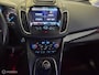 Ford Grand C-Max 1.0 EcoBoost 125pk Titanium 7 persoons
