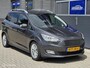 Ford Grand C-Max 1.0 EcoBoost 125pk Titanium 7 persoons