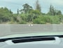 Volvo V60 2.0 T6 PHEV AWD Plus Dark Long Range ✅ Pano ✅ H/K ✅ ACC