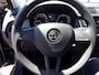 Skoda Fabia Combi 1.0 TSI Greentech 95pk Business Edition
