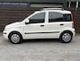 Fiat Panda 1.2 Edizione Cool / Airco / EL-ramen / NAP