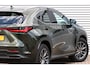 Lexus NX 450h+ AWD Executive Line 360gr. / Stoel koeling