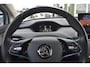 Skoda Enyaq iV 80 | Camera | Memory | Stuurverwarming |