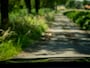 Volvo XC60 2.0 T8 Plug-in hybrid AWD Ultimate Dark R-Design|Panoramadak|360 camera