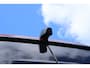 Volkswagen Crafter 35 2.0 TDI 177pk DSG L3H3 Trekhaak Camera LED Stoelverwarming Navigatie