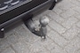 Audi Q7 60 TFSi S Competition 490pk/ Panodak/ Sportstoelen leer ruitmotief/ Trekhaak wegklapb./Luchtvering/Head-up/4-wielbest/soft close