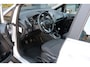 Ford B-Max 1.0 EcoBoost Titanium **PANORAMADAK** 2 x Schuifdeur/Navi/Camera