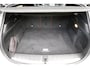 BMW X2 sDrive20i High Executive 190 PK | Panorama dak | Stoelverwarming | Vol lederen bekleding | CarPlay| Elektrische klep | LED verlichting | Lichtmetalen velgen | Achteruitrijcamera |