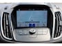 Ford Grand C-Max 1.0 Titanium | NAVIGATIE | WINTERPAKKET | TREKHAAK | DISTRIBUTIE VERVANGEN