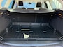 Ford Focus Wagon 1.0 EcoBoost Edition|D-RiemVV in 2023|1e Eigenaar|Trekhaak|Airco|Cruise|Bleutooth|VolledigOnderhouden|