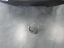 Lexus NX 300h AWD 25th Edition / Trekhaak