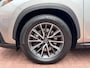 Lexus NX 450h+ AWD 360cam Trekhaak Dealer onderhouden