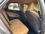 Lexus NX 450h+ AWD 360cam Trekhaak Dealer onderhouden