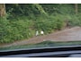 Mercedes-Benz E-klasse Estate AMG 53 4MATIC Premium Plus