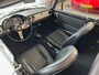 Alfa Romeo Spider duetto 1600