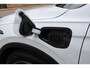 Volkswagen Tiguan 1.4 TSI eHybrid 245pk R-Line DSG Automaat / Panorama dak / IQ-Led / Zwenkbare trekhaak / LM 19 inch / Navigatie / Camera