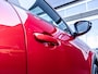 Alfa Romeo Junior 1.2 Turbo Hybrid Ibrida Speciale | ACC | LED |