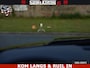 Dodge Ram LONGHORN ® EDITION | NEW SADDLE LEATHER | VIRTUAL | HEAD UP | PANODAK | LUCHTVERING | BOM VOL | DC | 5,7L V8 HEMI 402 PK | CREW CAB | DUBBELE CABINE | 4X4 | 5 PERSOONS | GRIJSKENTEKEN | LIMITED