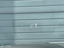 Volkswagen Golf 1.4 eHybrid GTE | Panoramadak |