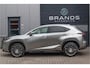 Lexus NX 300h AWD Luxury Line HEV Navi Clima Leder Camera