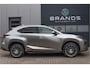 Lexus NX 300h AWD Luxury Line HEV Navi Clima Leder Camera