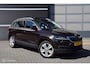 Skoda Karoq 1.5 TSI ACT Business Edition Plus Trekhaak Camera Panorama dak