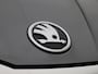Skoda Fabia 1.0 TSI Business Edition