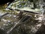 Jaguar F-Type 3.0 V6 Convertible / 1 EIGENAAR / CAMERA / CARPLAY / CRUISE