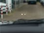 BMW X5 xDrive45e High Exe M-Sport PANO 360 CAMERA LASER HUD 21 INCH STOELVER EN KOEL BOMVOL!!