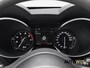 Alfa Romeo Stelvio 2.0 T AWD First Edition|280PK|PANO|CAMERA|LEDER|NL-AUTO|GOED ONDERHOUDEN