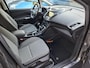 Ford Grand C-Max 1.0 Titanium /Nieuwe apk/ Nieuwe distributie bij aflevering/Navi/Zomer en winter set