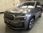 Skoda Kodiaq 1.5 TSI PHEV 204pk DSG-6 Business Edition Plus