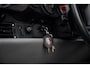 Porsche 911 Cabrio 3.6 911 | 2e. Eig. | 19 x Service Porsche Centre