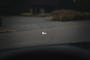 Bentley Bentayga 4.0 V8 Pano, nightvision, softclose, touring pack, premium seats