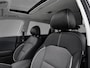 Kia Niro EV E-Niro DynamicPlusLine 39 kWh |Open dak|NAP|