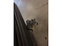 Volvo 200-Serie 240 2.0i Polar (Origineel NL/Roest hersteld/APK 2028)