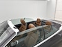 Mercedes-Benz C-klasse Cabrio 300 Sport Edition AMG Line | Night Pakket | Parkeerpakket met 360°-camera | MultiBeam | Burmester Sound | Leder Inclusief 24 maanden MB Certified garantie voor Europa.