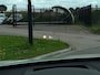 BMW X1 SDrive18i High Executive xLine // Automaat // Leder // Head-Up // Stoelverwarming
