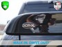 Dodge Ram 1500 | Limited | 5.7 V8 | 4x4 | Crew Cab Full option | Smoked lights | Red Calipers | HUD | Harman Kardon Nieuw binnen!