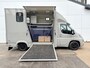 Citroën Jumper 2.2 130PK Paardenwagen Horsetrailer Pferdewagen Gietvloer WTV-opbouw Interieur- en achteruitcamera Trekhaak Leer Climate control