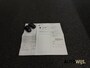 Peugeot 3008 1.2 PureTech GT Line|PANO|CAMERA|NAVI|LM-VELG