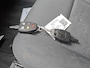 Volvo V50 1.8/NWE APK/ AIRCO/CRUISE/TREKHAAK/ELEKTRISCHE RAMEN/