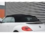 Volkswagen Beetle Cabriolet 1.4 TSI Sport Bi-Xenon/LED | Leder | Fender Audio | Navi | Clima | Cruise | LMV