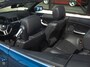 BMW 3-Serie 318ci Cabrio LCI Ed. Excl. Ã¢ÂÂ 1e eig., topcond