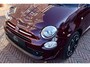 Fiat 500 1.2 Rockstar | Bordeaux Metallic | Apple CarPlay | Panoramadak | Navigatie | Cruise Control | 16 inch LMV