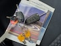 Ford Transit 350 2.0 TDCI AUTOMAAT OPRIJWAGEN 1400KG | AANHANGER (80-WGV-4) | 3 ZITPL | NAVI / APPCONNECT | CAMERA | ADAP CRUISE |
